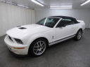 Thumbnail image of 2008 Ford Shelby GT500 at ULTIMATE MOTOR CARS