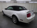 Thumbnail image of 2008 Ford Shelby GT500 at ULTIMATE MOTOR CARS