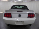 Thumbnail image of 2008 Ford Shelby GT500 at ULTIMATE MOTOR CARS