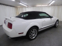 Thumbnail image of 2008 Ford Shelby GT500 at ULTIMATE MOTOR CARS
