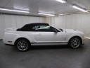 Thumbnail image of 2008 Ford Shelby GT500 at ULTIMATE MOTOR CARS