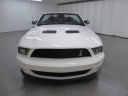 Thumbnail image of 2008 Ford Shelby GT500 at ULTIMATE MOTOR CARS