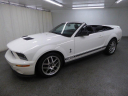 Thumbnail image of 2008 Ford Shelby GT500 at ULTIMATE MOTOR CARS