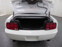 Thumbnail image of 2008 Ford Shelby GT500 at ULTIMATE MOTOR CARS