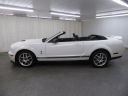 Thumbnail image of 2008 Ford Shelby GT500 at ULTIMATE MOTOR CARS