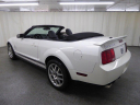 Thumbnail image of 2008 Ford Shelby GT500 at ULTIMATE MOTOR CARS