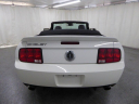 Thumbnail image of 2008 Ford Shelby GT500 at ULTIMATE MOTOR CARS