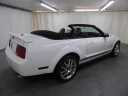 Thumbnail image of 2008 Ford Shelby GT500 at ULTIMATE MOTOR CARS