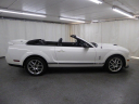 Thumbnail image of 2008 Ford Shelby GT500 at ULTIMATE MOTOR CARS