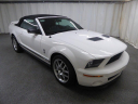 Thumbnail image of 2008 Ford Shelby GT500 at ULTIMATE MOTOR CARS
