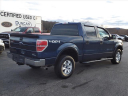 Thumbnail image of 2013 Ford F-150 at Duncan Ford Chrysler