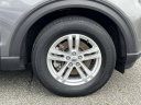 Thumbnail image of 2022 Ford Explorer at Wayne Ford