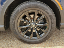 Thumbnail image of 2024 Honda CR-V Hybrid at Frank Brown Honda GMC