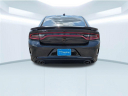 Thumbnail image of 2023 Dodge Charger at Gulf Chrysler Dodge Jeep Ram