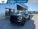 Thumbnail image of 2021 Ford F-150 at Town & Country Ford