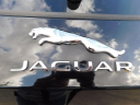 Thumbnail image of 2018 Jaguar F-PACE at AMD AUTO