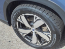 Thumbnail image of 2021 Subaru Forester at Serra Buick Gmc Champaign