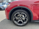 Thumbnail image of 2019 Alfa Romeo Stelvio at Empire Chrysler Dodge Jeep Ram