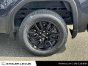 Thumbnail image of 2023 GMC Sierra 1500 at Stoler Lexus