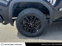 Thumbnail image of 2023 GMC Sierra 1500 at Stoler Lexus