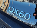 Thumbnail image of 2025 INFINITI QX60 at Circle Infiniti