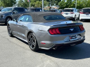 Thumbnail image of 2022 Ford Mustang at Elk Grove Chrysler Dodge Jeep Ram