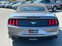 Thumbnail image of 2022 Ford Mustang at Elk Grove Chrysler Dodge Jeep Ram