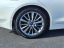Thumbnail image of 2023 INFINITI Q50 at Circle Infiniti