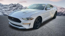 Thumbnail image of 2023 Ford Mustang at City World Ford