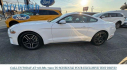 Thumbnail image of 2023 Ford Mustang at City World Ford