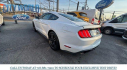 Thumbnail image of 2023 Ford Mustang at City World Ford