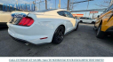 Thumbnail image of 2023 Ford Mustang at City World Ford