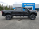 Thumbnail image of 2023 Chevrolet Silverado 1500 at Don Nester Chevrolet