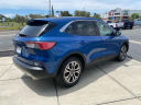 Thumbnail image of 2022 Ford Escape at Rio Vista Ford