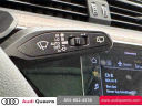 Thumbnail image of 2024 Audi Q8 e-tron at Audi Queens