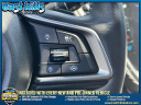 Thumbnail image of 2022 Subaru Outback at East Hills Subaru