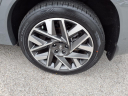 Thumbnail image of 2022 Hyundai SANTA FE at Pogue Automotive Group