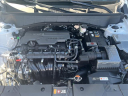 Thumbnail image of 2024 Hyundai KONA at Columbus Nissan / Columbus Hyundai