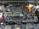 Thumbnail image of 2024 Toyota Venza at J L Freed Honda (Used)