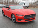 Thumbnail image of 2024 Ford Mustang at New Fred Beans Boyertown Ford