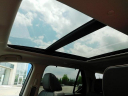 Thumbnail image of 2025 Honda Pilot at Wetzel Honda