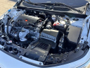 Thumbnail image of 2024 Honda Civic at Millennium Honda