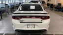 Thumbnail image of 2023 Dodge Charger at New - Salerno Duane Of Summit Ford