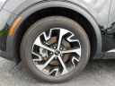 2023 Kia Sportage EX at Wetzel Honda