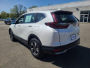 Thumbnail image of 2022 Honda CR-V at The New Babylon Honda