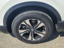 Thumbnail image of 2022 Honda CR-V at The New Babylon Honda