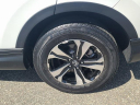 Thumbnail image of 2022 Honda CR-V at The New Babylon Honda