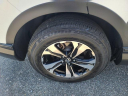 Thumbnail image of 2022 Honda CR-V at The New Babylon Honda