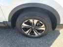 Thumbnail image of 2022 Honda CR-V at The New Babylon Honda