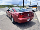 Thumbnail image of 2007 Ford Mustang at ZARA AUTO SALES INC